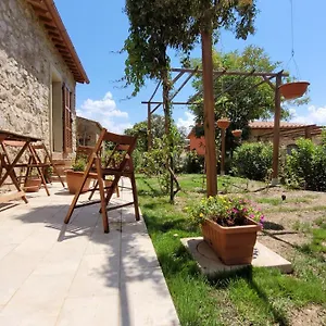 Poggio La Lodola Massa Marittima